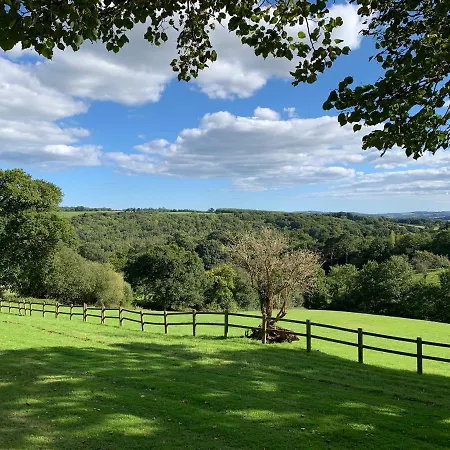Spacious Hazel Bank Lodge For 4 With Hot Tub & Tree-Level Views Chudleigh Exterior photo