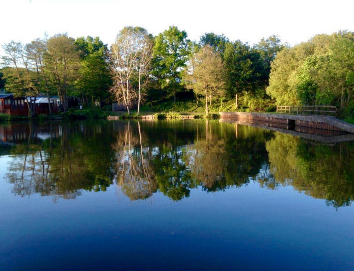 Spacious Hazel Bank For 4 With Hot Tub & Tree-level Views