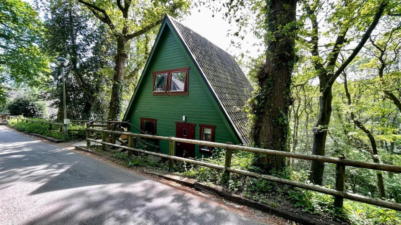 Spacious Hazel Bank For 4 With Hot Tub & Tree-level Views *